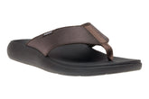 Alpha Metatarsal - Brown
