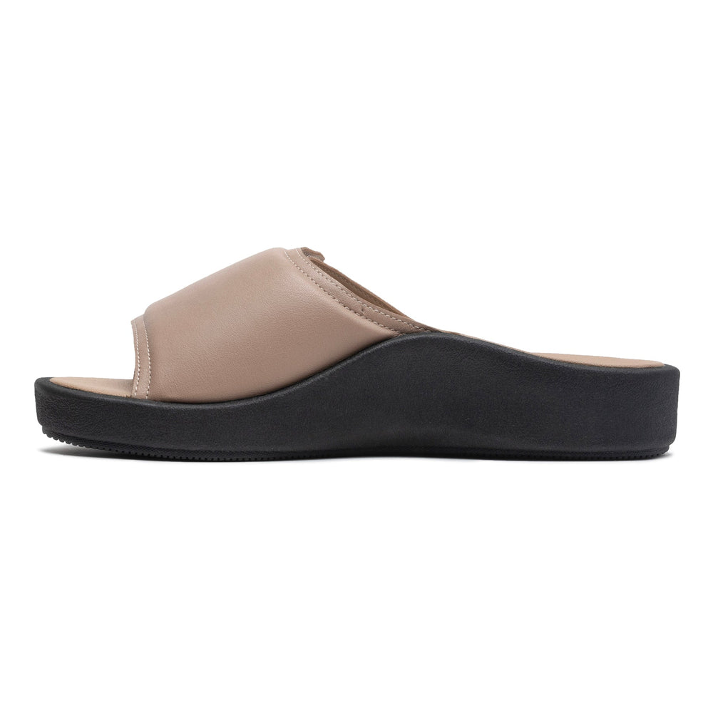 Paseo Slide - Roebuck
