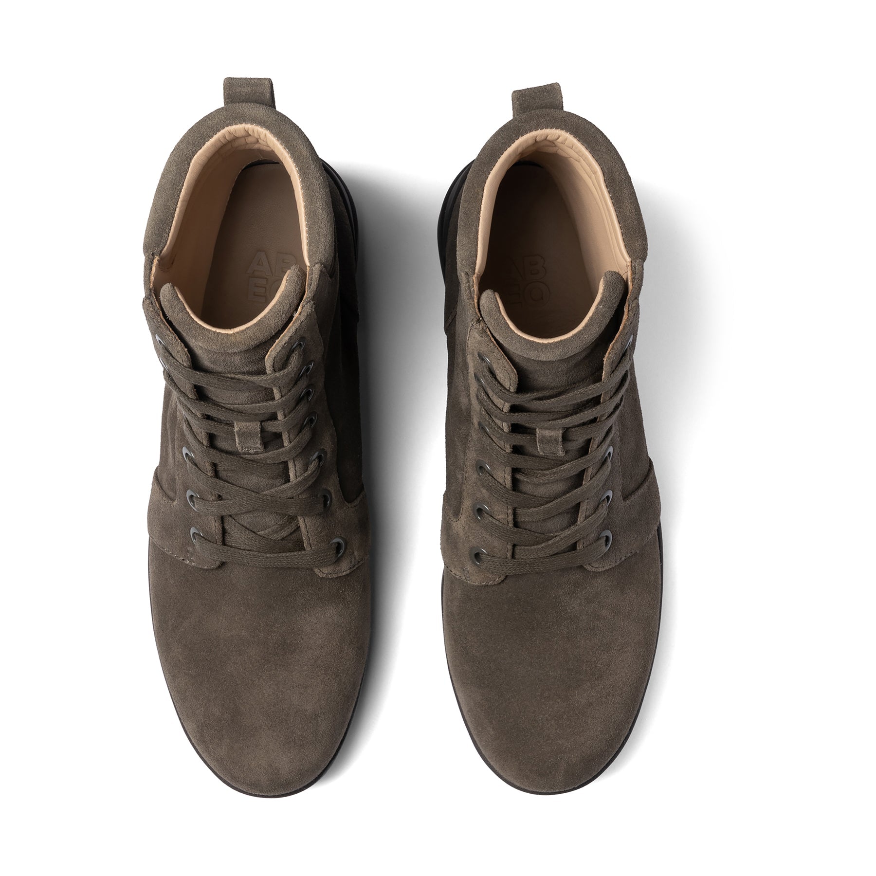 Capital Lace - Olive