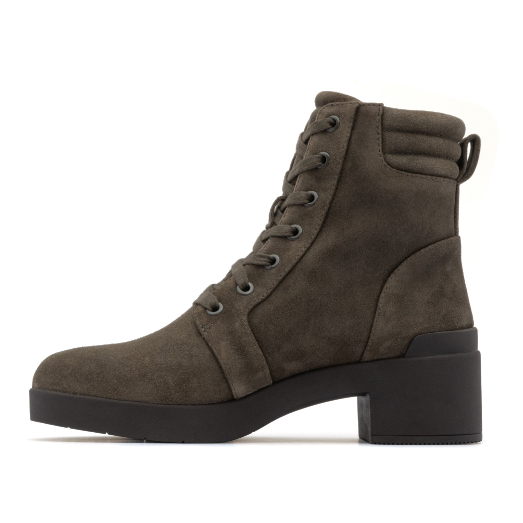 Capital Lace - Olive