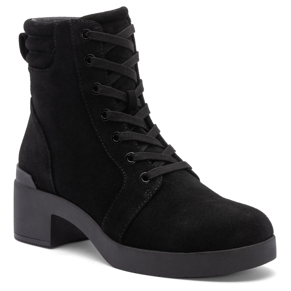 Capital Lace - Black