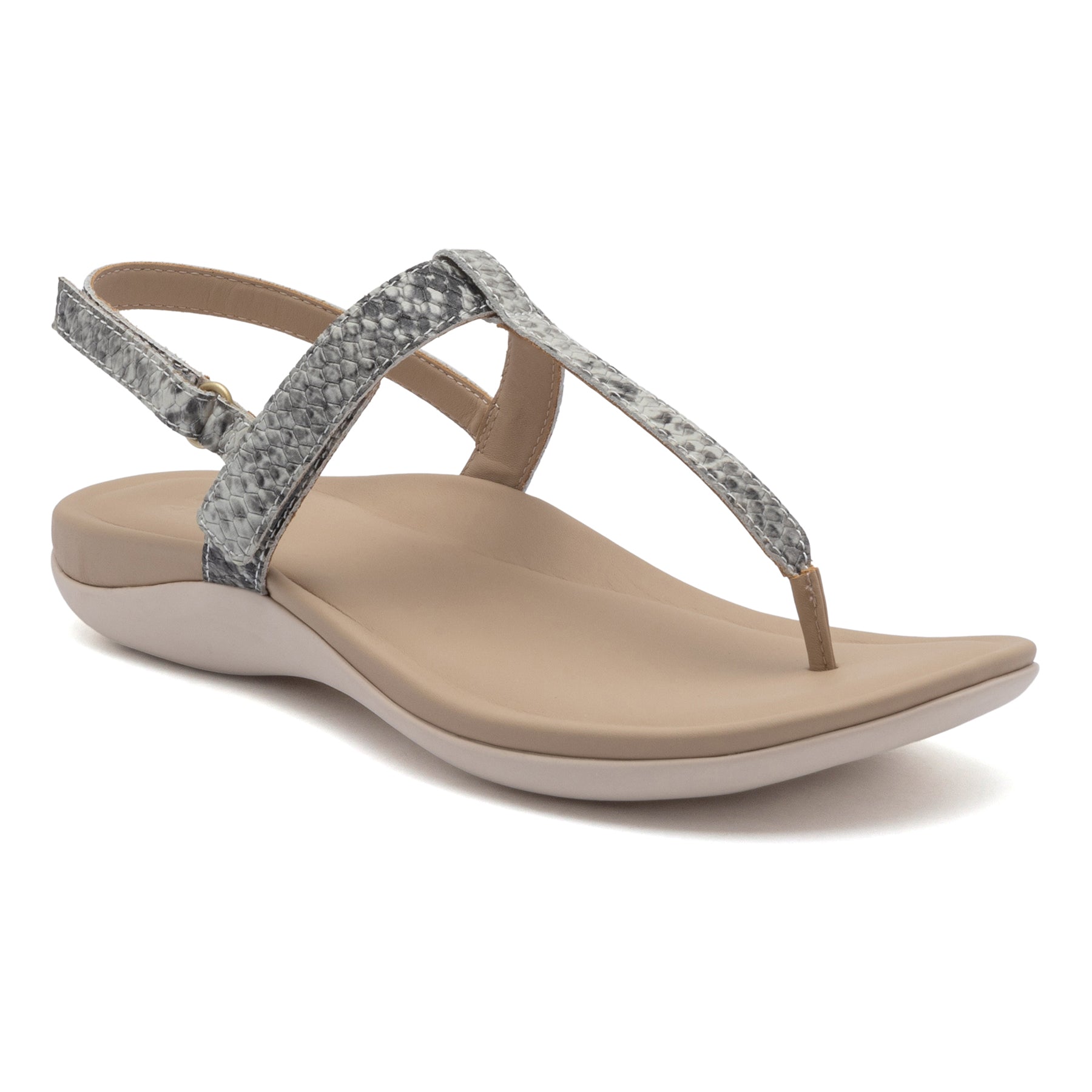 Oasis T Strap Metatarsal - Snake