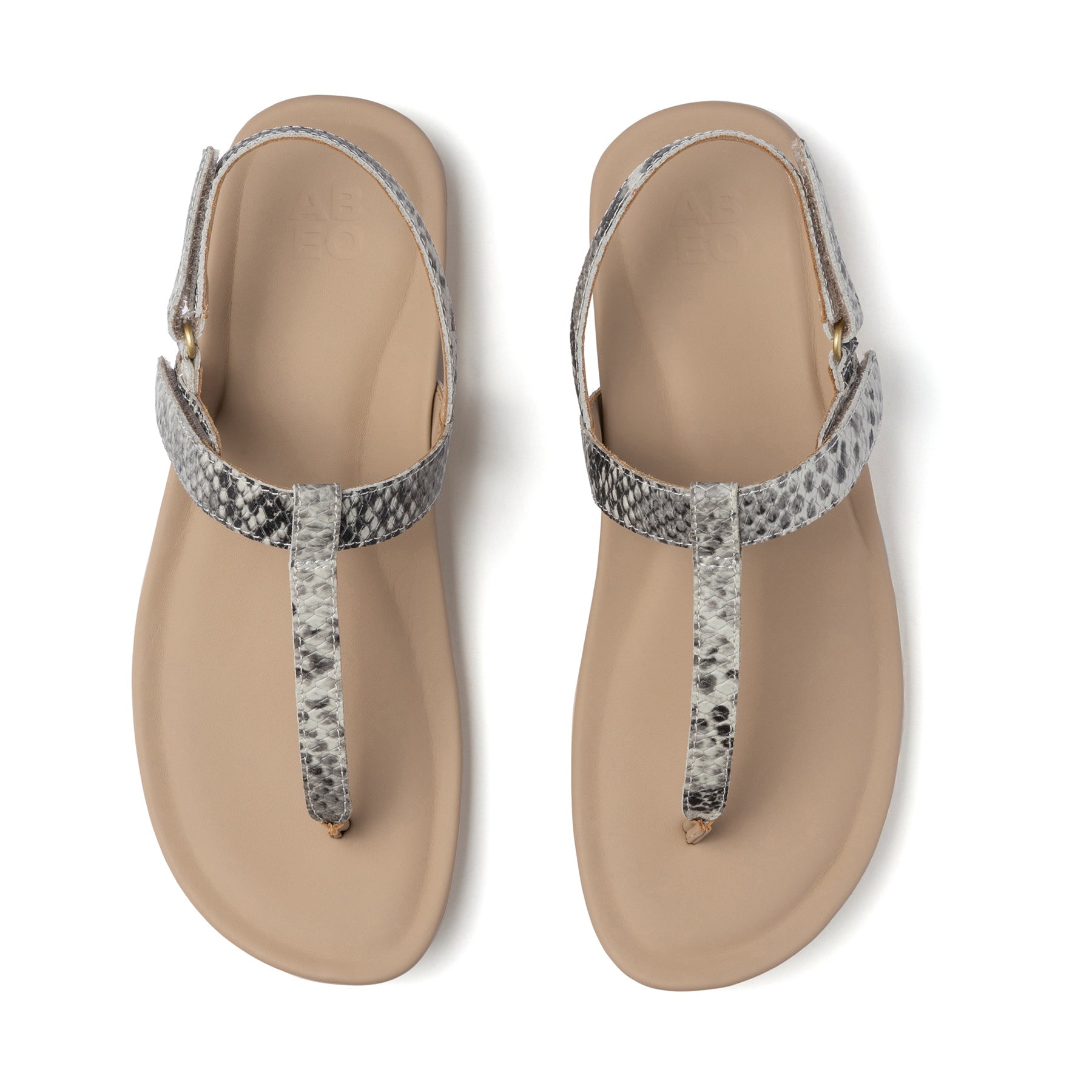 Oasis T Strap Metatarsal - Snake