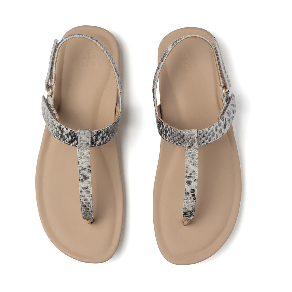 Oasis T Strap Metatarsal - Snake