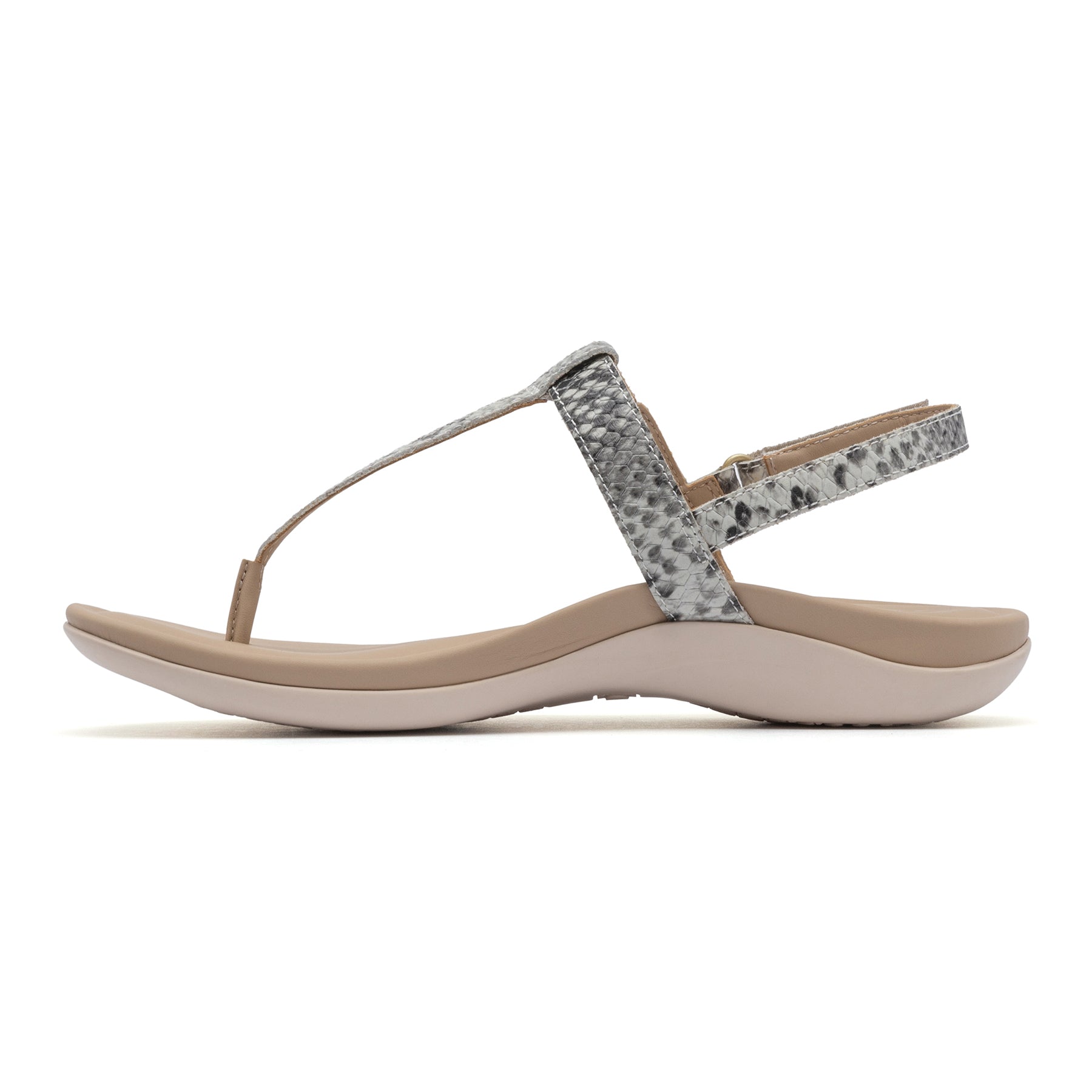Oasis T Strap Metatarsal - Snake
