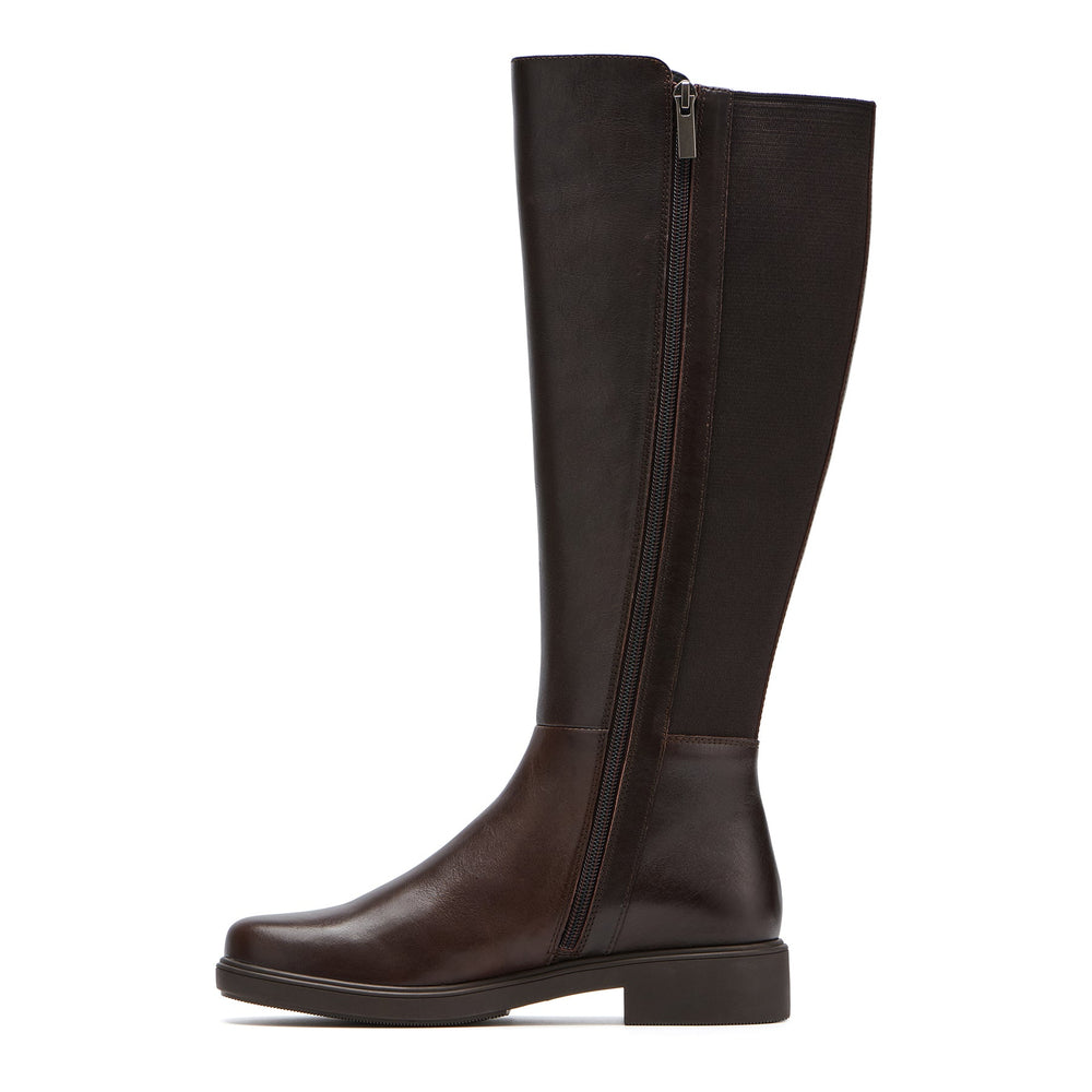 Compass Stretch - Dark Brown