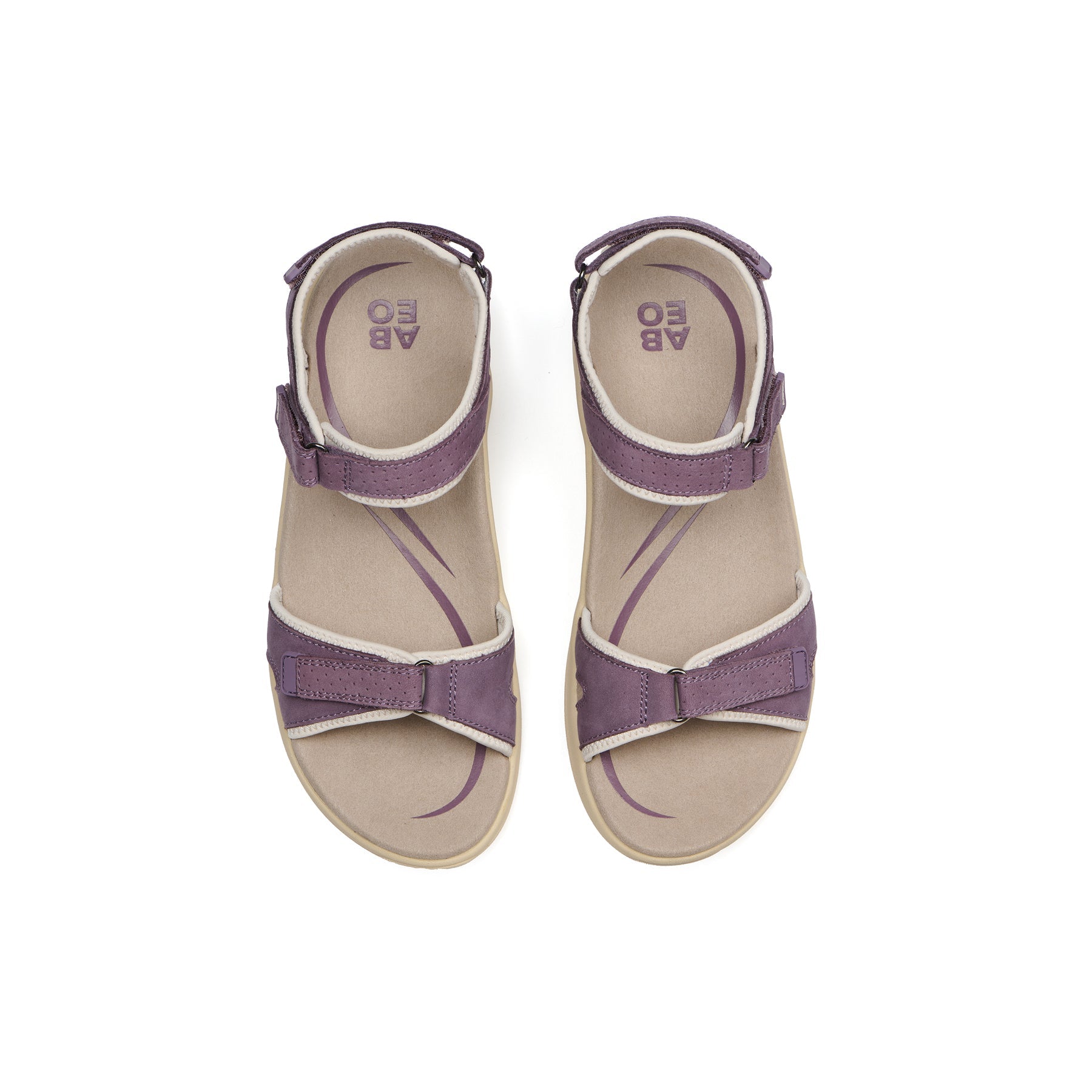 Goleta - Purple