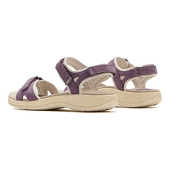 Goleta - Purple