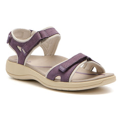 Goleta Metatarsal - Purple