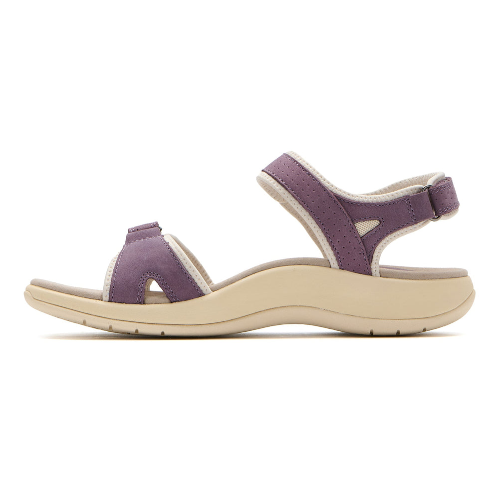 Goleta Metatarsal - Purple