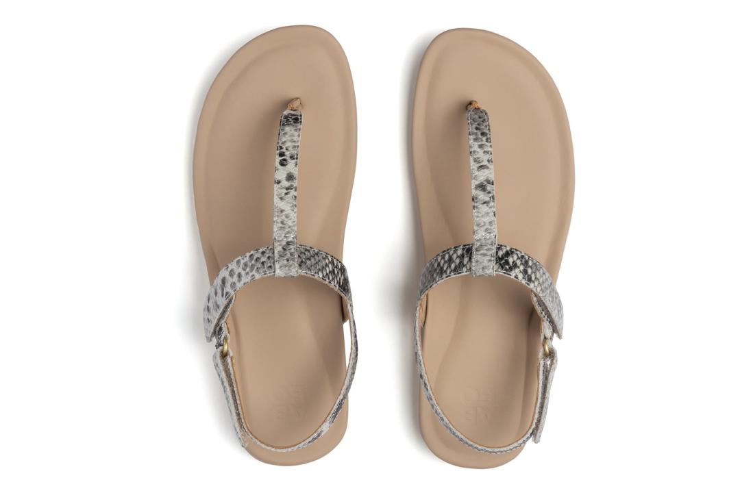 Oasis T Strap Snake | Women ABEO Footwear Sandals