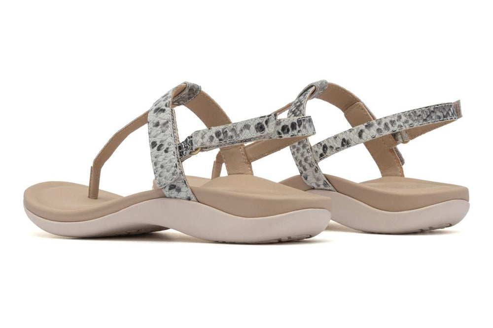 Oasis T Strap Snake | Women ABEO Footwear Sandals