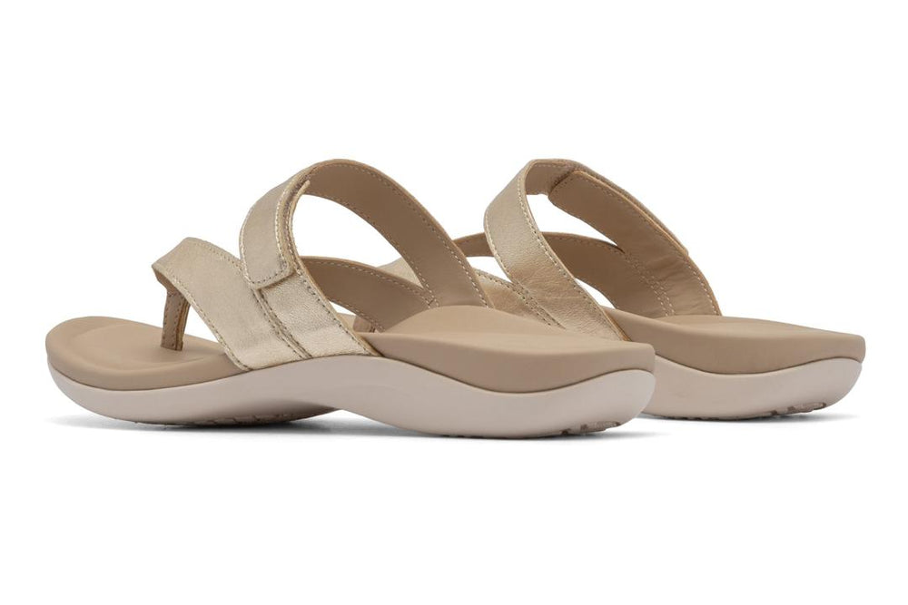 Oasis Thong Sandal Light Gold | Women ABEO Footwear Sandals