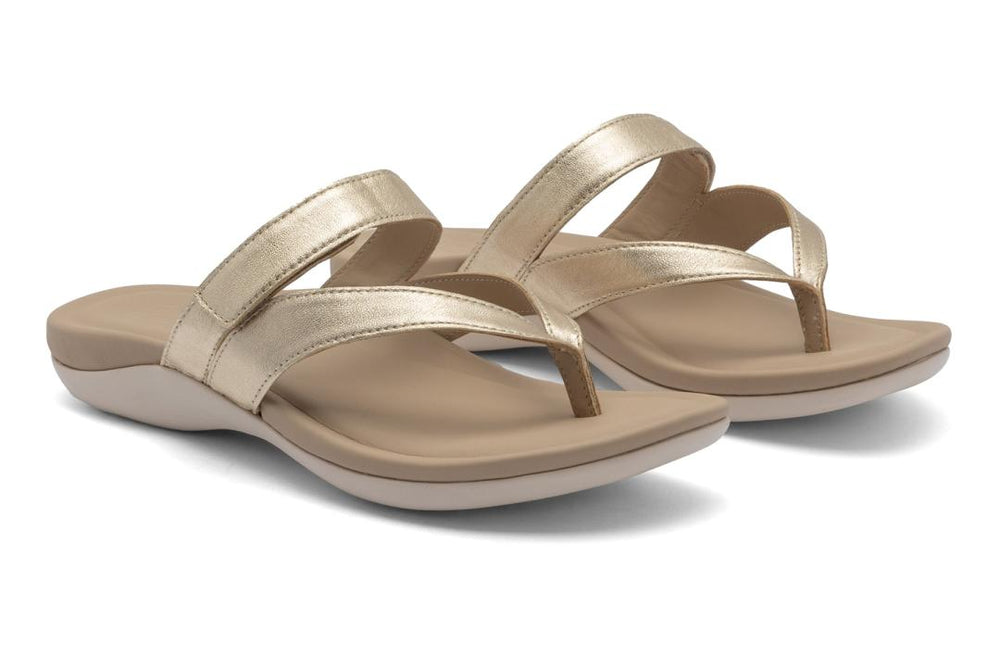 Oasis Thong Sandal Light Gold | Women ABEO Footwear Sandals