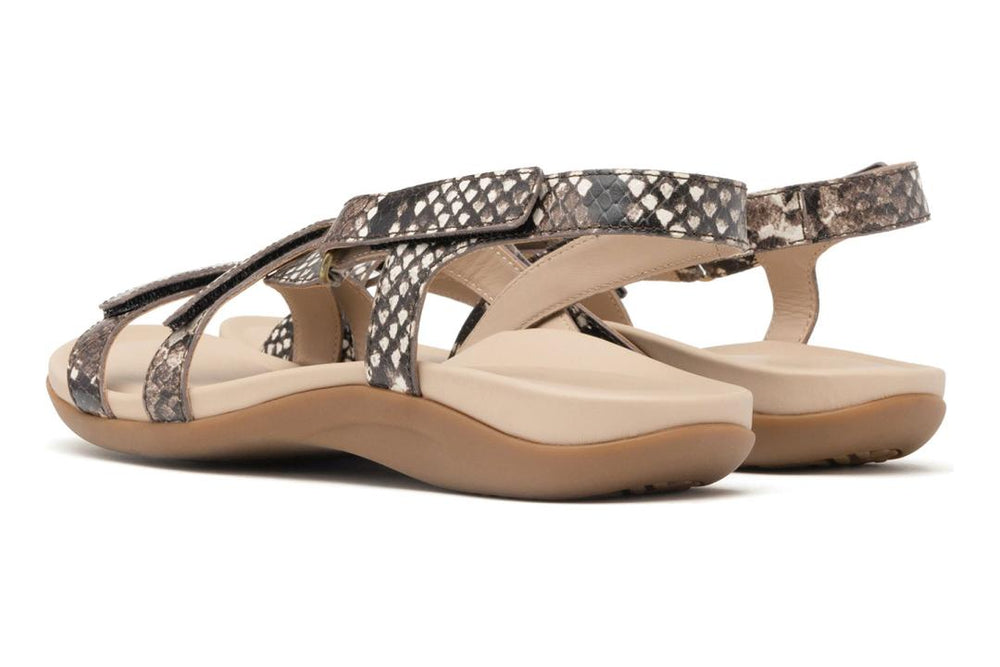 Ollie Natural Snake | Women ABEO Footwear Sandals
